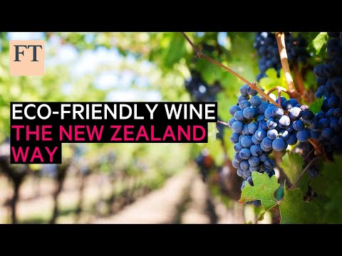 新西兰的环保葡萄园（Eco-friendly vineyards, the New Zealand way | FT Food Revolution）