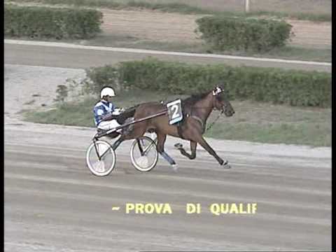 1^ PROVA DI QUALIFICA   dell' 8 LUGLIO 2016  Mt.1600 (2 Anni)