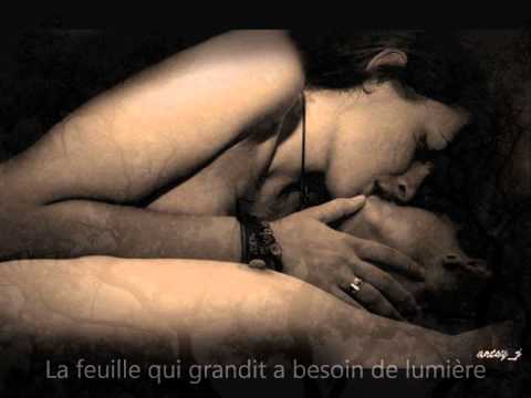 Laisse moi t'aimer - Ima (Cover avec paroles) Sylvie Gauthier