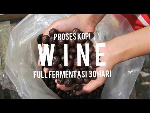 Coffee Wine Process ( 30 days full fermented version )