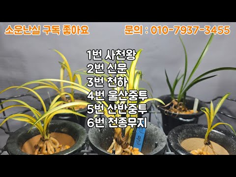 유튜브 썸네일