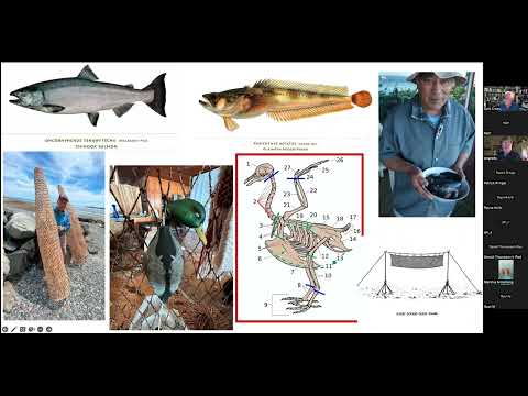 Oldest Human Artifacts from the Rimrock Draw Rockshelter, Oregon - Dr Patrick O'Grady Univ of Oregon