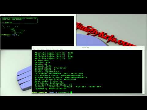 Window INFO with xwininfo - BASH - Linux