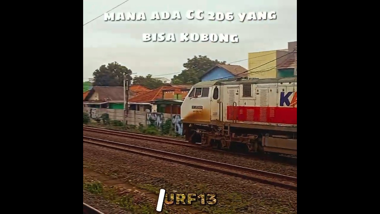 Trio Kobong anomali😈🔥 || #fypシ゚viral #shorts #cc206