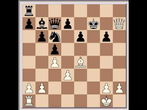 Mikhail Tal Vs. John van der Wiel, 1982