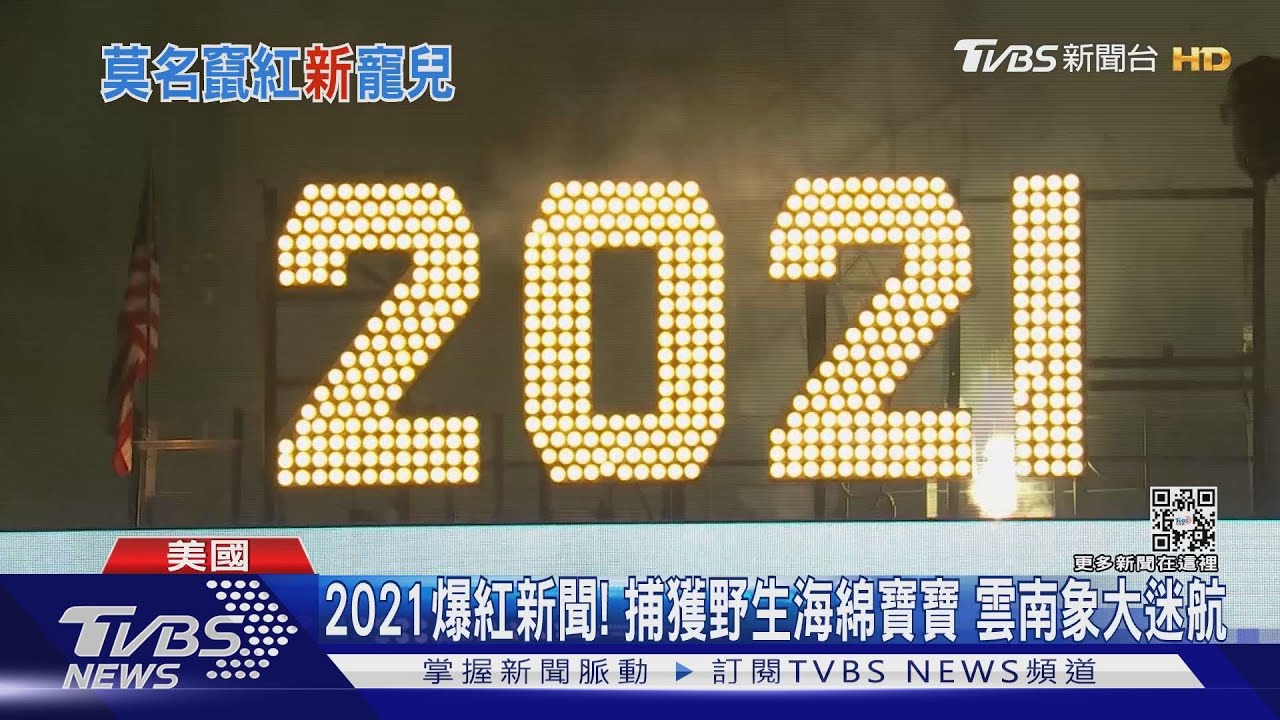 2021爆紅新聞!捕獲野生海綿寶寶 雲南象大迷航