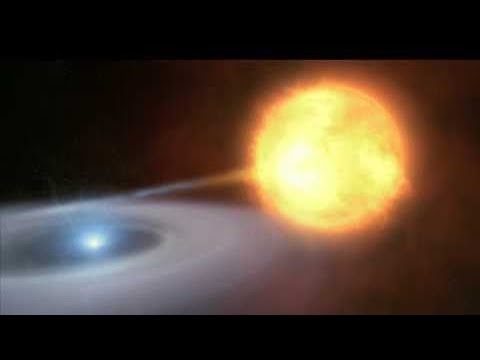 Novae and Type Ia Supernovae