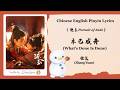 【Chi/Eng/Pinyin Lyrics】 张远 (Zhang Yuan) - 木已成舟 (What’s Done Is Done) | 《逐玉 Pursuit of Jade》 OST