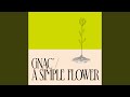 A Simple Flower