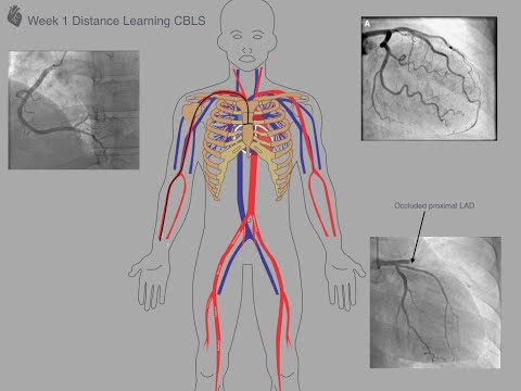 CBL1 Wk1 CBL roundup