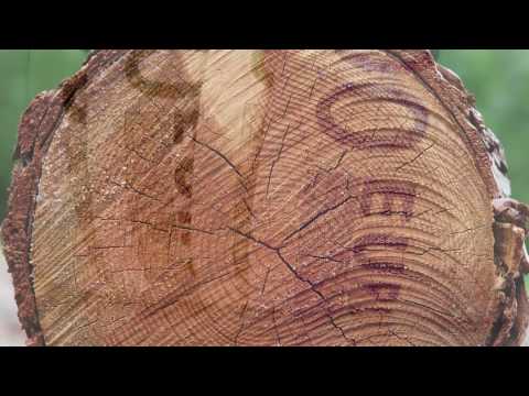 11  Verwarmen met hout