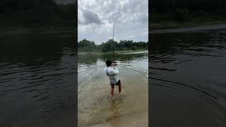 Download lagu Monster Sungai Menyeretku ke Dalam Air… (Menakutkan😳) mp3