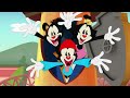 Animaniacs 2020 Opening En Español Latino Oficial
