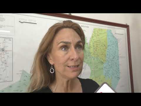 Encefalomielitis Equina: solicitan notificar casos sospechosos y vacunar a los caballos en toda la provincia