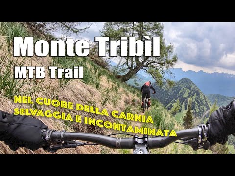 Monte Tribìl, CAI 165, Sentiero Cimenti, Troi di Lauco, Villa Santina - MTB Trail
