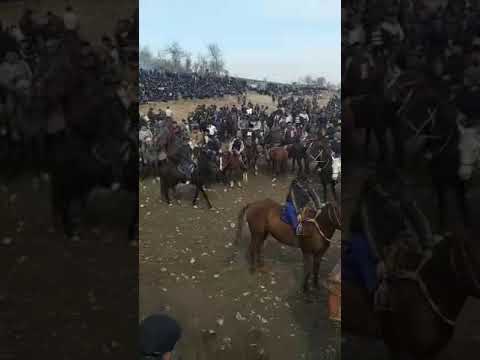 Купкари 24 02 2019 сойгус