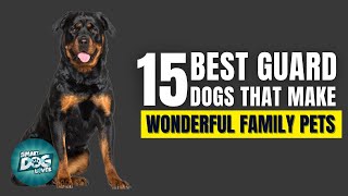 15 Best Guard Dogs That Also Make Wonderful Family Pets