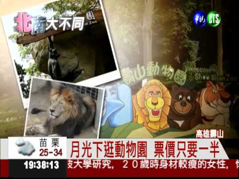 一起FUN暑假! 20元夜遊動物園
