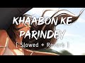 Khaabon Ke Parindey [ Slowed + Reverb ] | by Mohit Chauhan | Music lyrics ❤