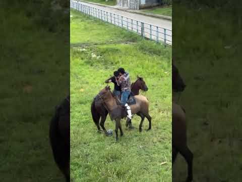 Peleas en Barinas 🤠  Así peleaba Simón Bolívar #venezuela #caracas  #barinas #shortsfeed