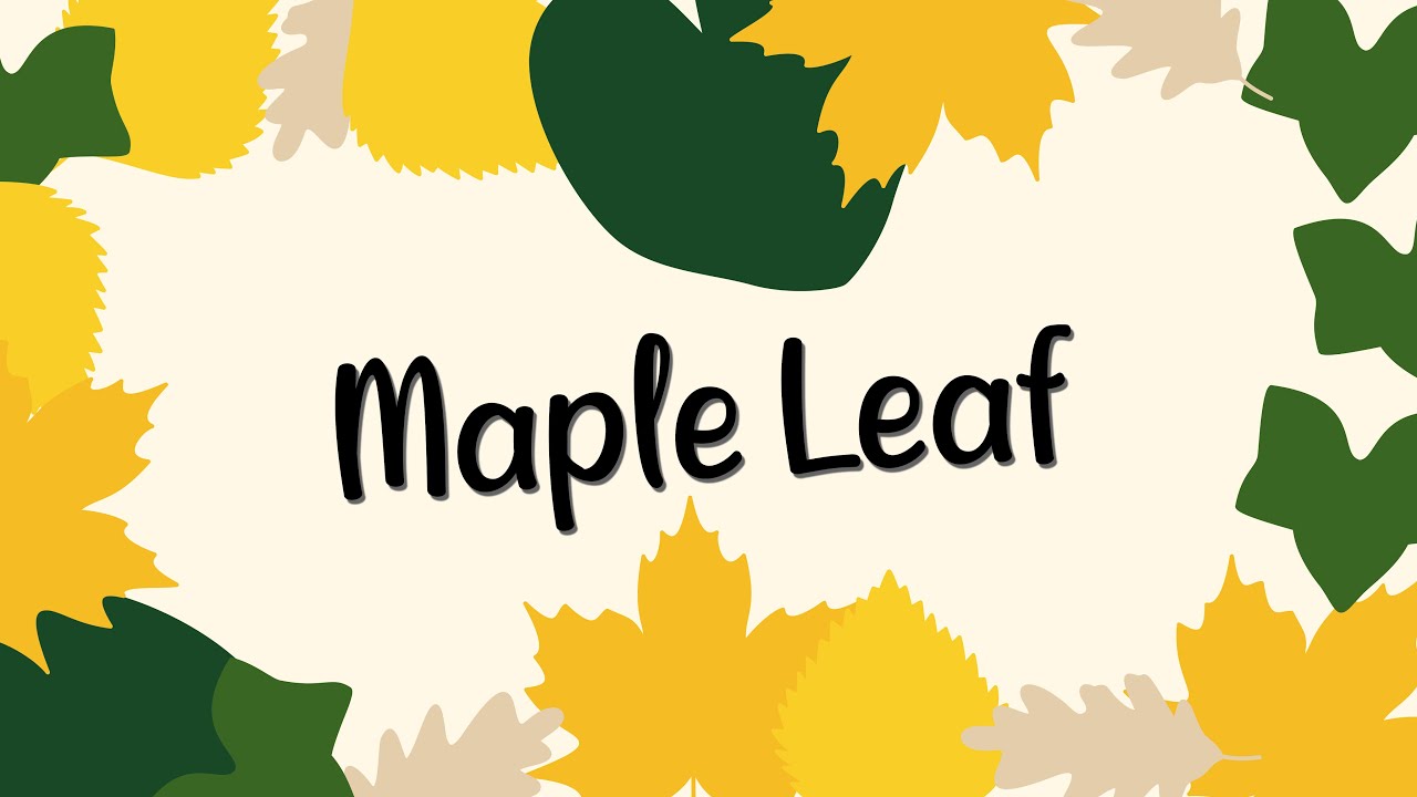 Creating a Maple Leaf || Vector Art Time-lapse || Coloring Page Project [CC]