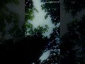 Oru Pen Pura Unplugged WhatsApp Status