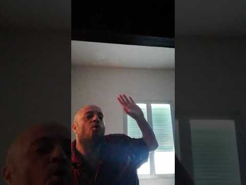 Supra Jordan Donaire Wizdom El libre albedrio