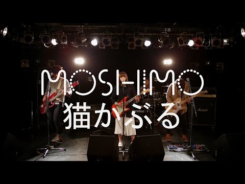MOSHIMO「猫かぶる」MV（Full ver.）