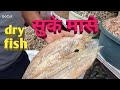 Best dry fish 🐠 | surmay/halva/shingta/pomfret #sanjaysawant #fish