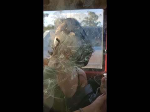 Fran2k - One lubią 👀