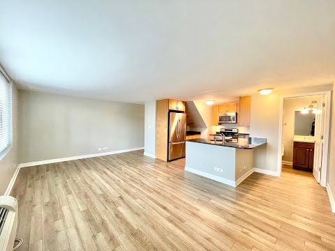 1221 N. Dearborn - Video 2 of 2