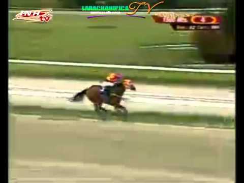 LA RINCONADA 4 CARRERA DOMINGO 23 DE NOVIEMBRE DEL 2014