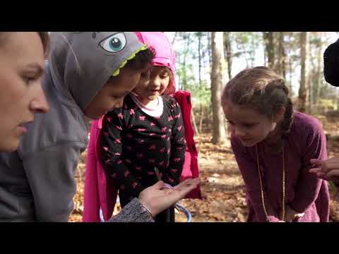 Nature-Based Education Outdoor Preschool Forest Kindergarten | Samara Early Learning Rachel Larimore