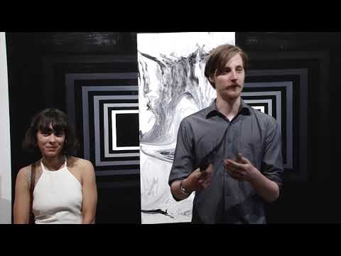 Expozitie de arta contemporana - Dalina Zapodeanu (2017)