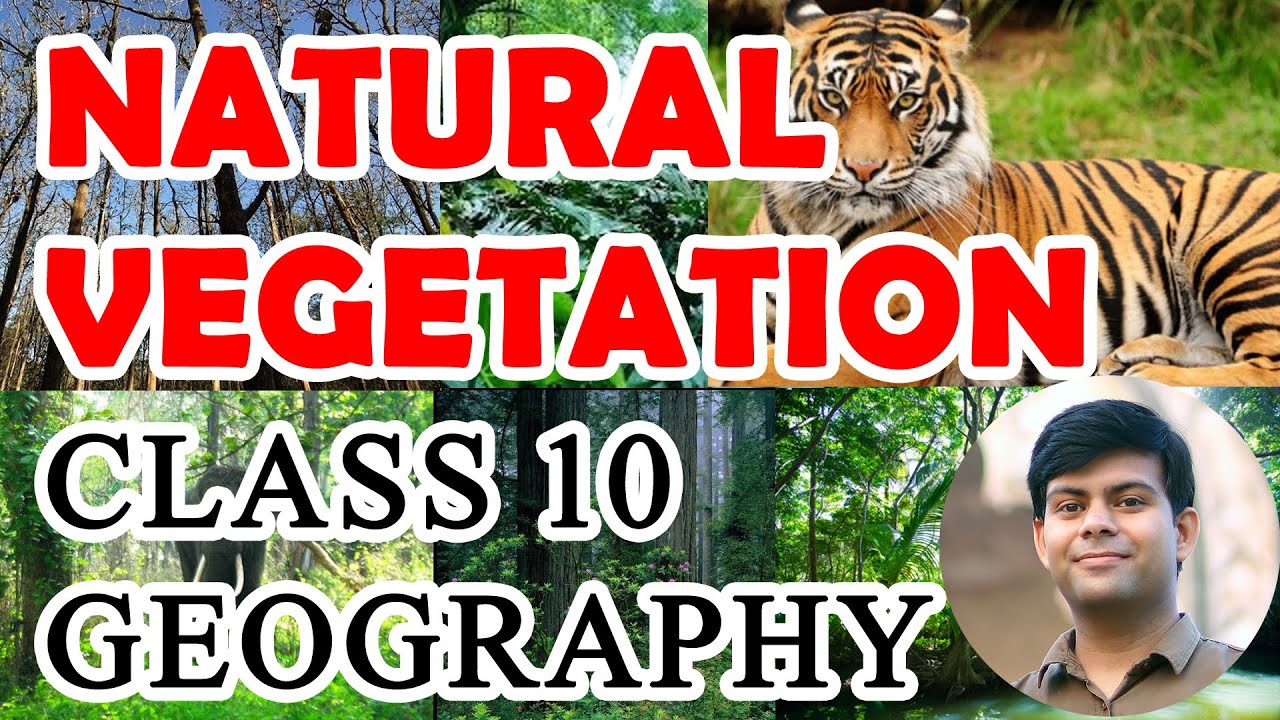Chapter - Natural Vegetation | Full Explanation with Notes 📗 | Class 10th Geography