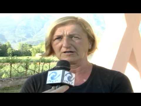 ONDA TG 22.05.2014 - CANILE CODE FELICI RISOLTO PROBLEMA FONDI