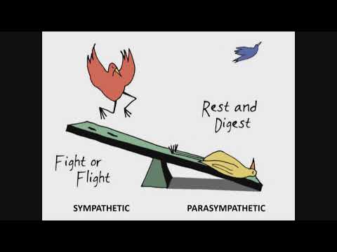 2019 Madrid Learning Conference: Autonomic Dysfunction by Dr. Alan Hakim | French (FR)