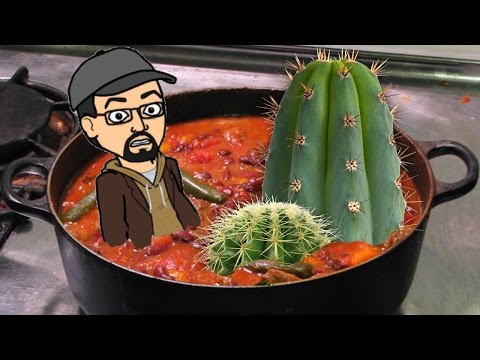 Rafferty's Turkey Cactus Chili - RIPOFF RECIPE