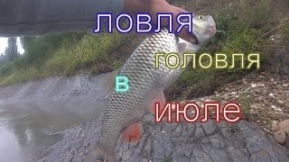 Ловля голавля на лягушку весной
