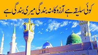 Kalam | Naat | Koi Saleeqa Hai Aarzoo Ka | کوئی سلیقہ ہے آرزو کا | Madani Channel | DawateIslami