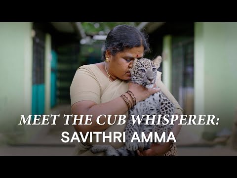 Savithri Amma & Her Cubs: A Mother’s Day Story Like No Other