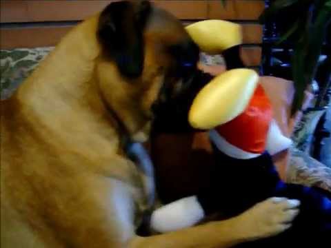 Raïssa La Bullmastiff Ataca a Mickey Mouse