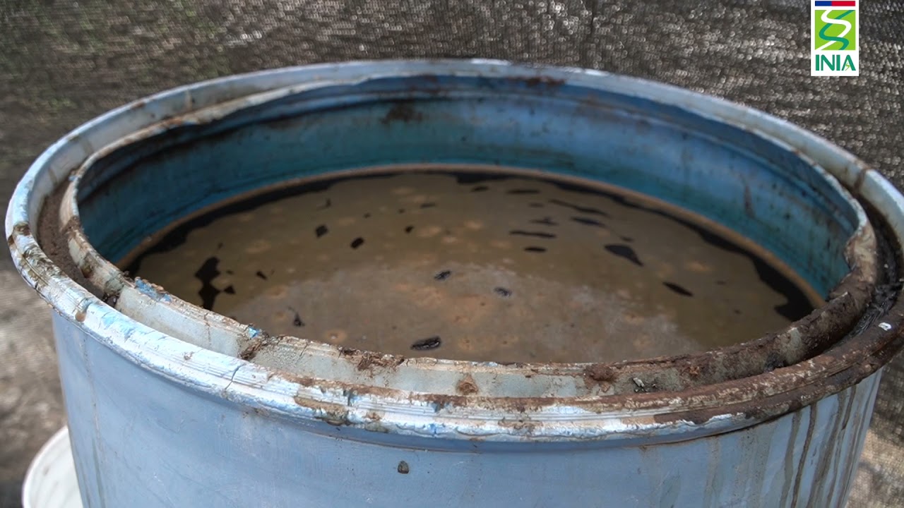 Elaboración de ácido húmico_Luis Leris_INIA Intihuasi