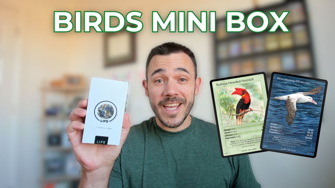 Life TCG Birds Mini Box - Complete Review & 4-Pack Opening