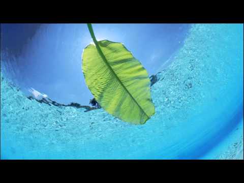 T-Dallas - Feel So Good (Original Mix)