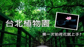 [4K POV]台北植物園散步街拍 Taiwan Street Walking & Snaping Tour -Taipei Botanical Garden