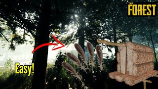 How To Get FEATHERS in The Forest EASILY | 2021