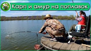 Отчеты о рыбалке поплавокат