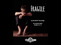 Fragile (Randall Standridge, Grade 1.5-2, Concert Band) - Part of the 