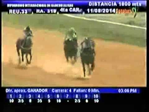 Resumen Lunes, 11 de Agosto 2014 - Rancho Alegre